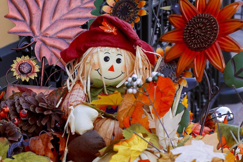 Whimsical Displays